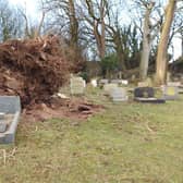 Damage in St Peter's churchyard caused by Storm Arwen.