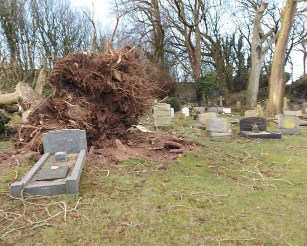 Damage in St Peter's churchyard caused by Storm Arwen.