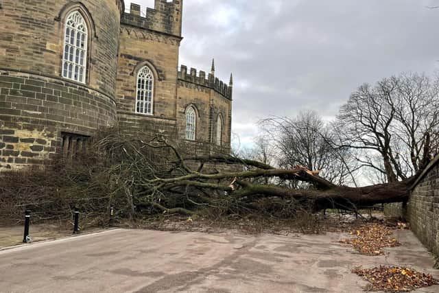 A fallen tree at Lancaster Castle. Photo: Lancaster City Council