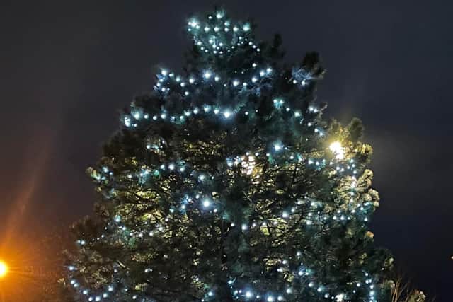 The village Christmas tree.