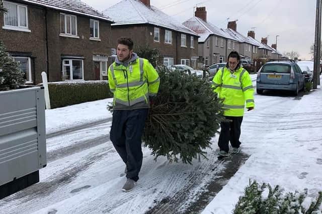 St John's Hospice volunteers in action collecting Xmas trees for recycling.