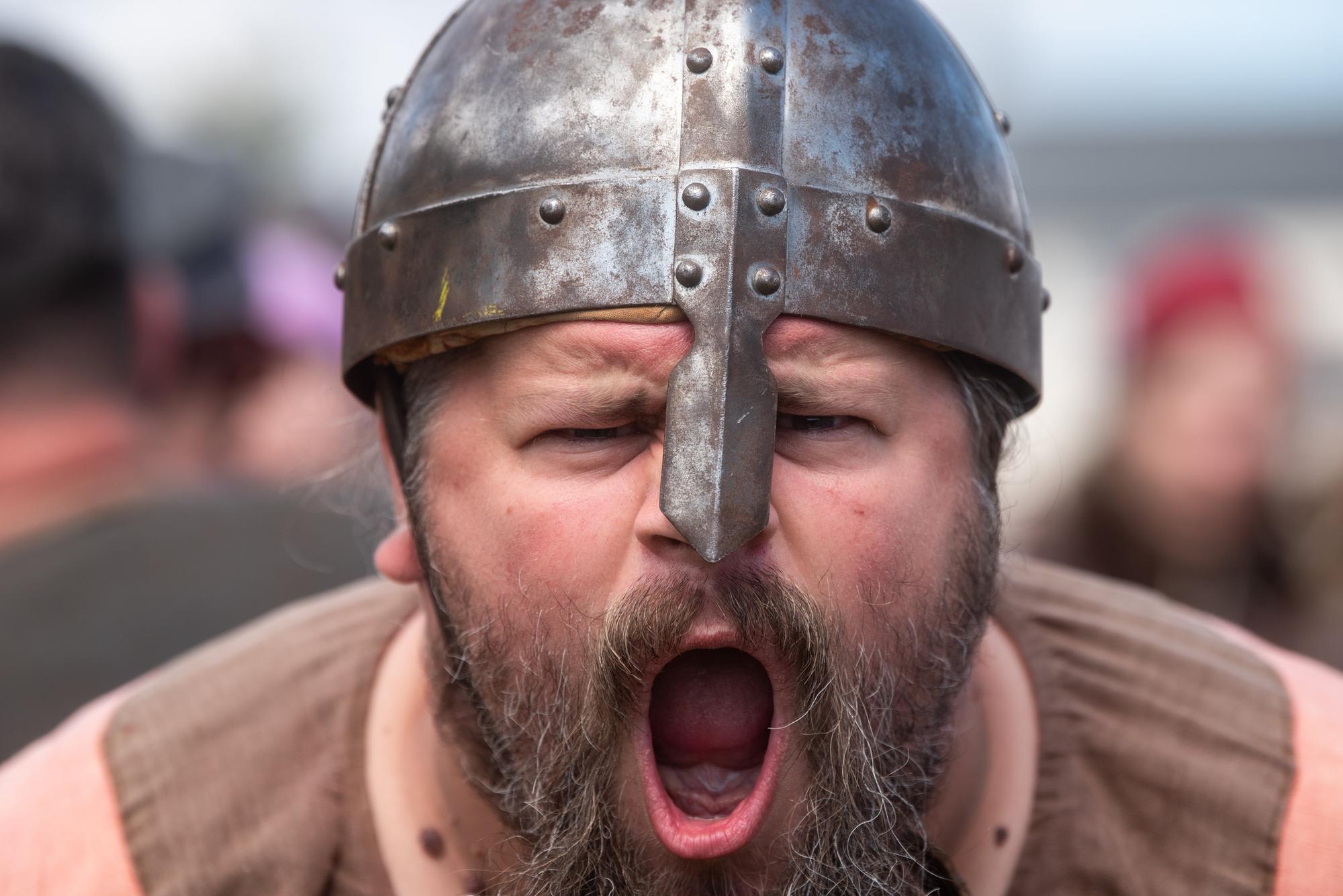 Heysham Viking Festival 2026 -  a Viking with a helmet issues a war cry.