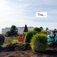 Eden Project Morecambe shares progress image as garden begins to take shape