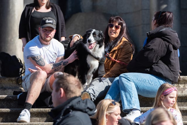 Sitting on the steps of the Ashton Memorial at the Pups in the Park event in Williamson Park, Lancaster.