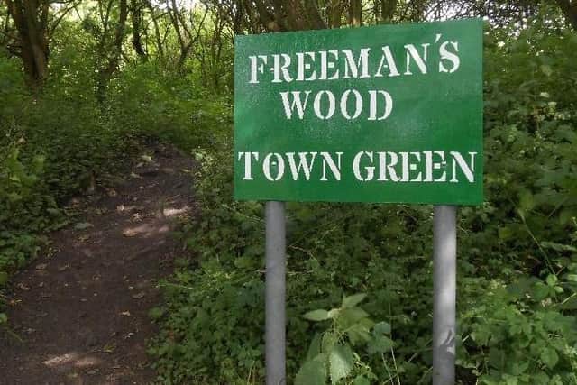 Freeman's Wood in Lancaster.