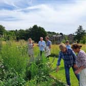 Visitors to Miss Whalley's Field being shown one of its wildflower areas.
