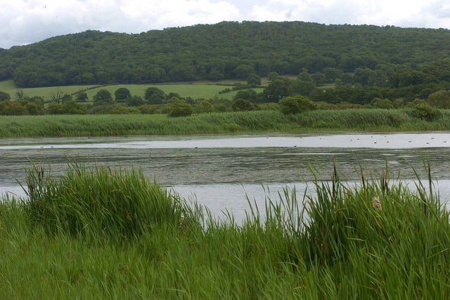 Leighton Moss boasts the largest reed bed in north west England and is home to a wide range of spectacular wildlife including otters, bearded tits, marsh harriers, egrets and red deer.