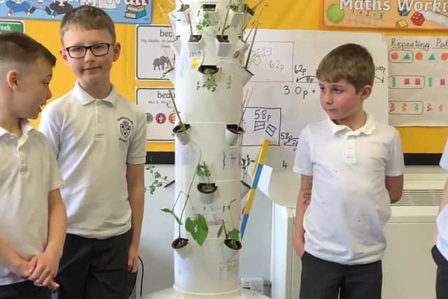 Torrisholme Primary School pupils with their tower gardens.