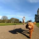 Lancaster has been named among the most pet-friendly staycation cities in the UK.