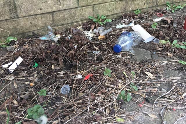 Alexandra Park in the west end is now covered in rubbish and weeds after the council ordered residents to stop maintaining the park.