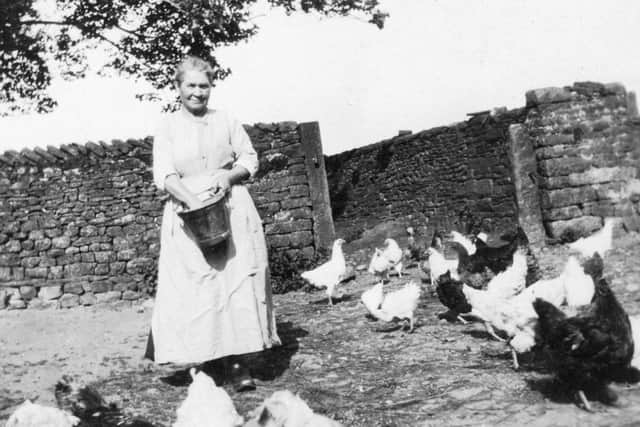 Isabelle Lee feeding hens with corn at Lanshaw Farm Tatham, c.1920.