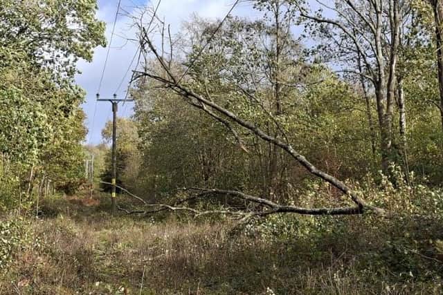 Arnside - damage to the power network caused by Storm Boelo.