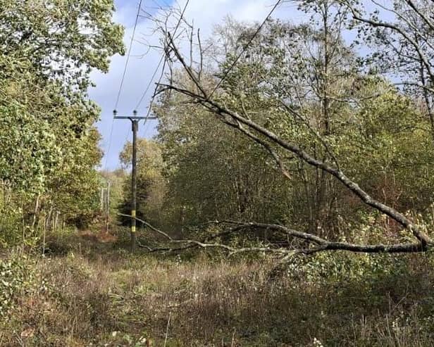 Arnside - damage to the power network caused by Storm Boelo.