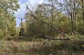Arnside - damage to the power network caused by Storm Boelo.