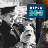 The RSPCA has revealed that it has found loving new homes for more than 3,000 animals in a decade in Cumbria, with the remarkable rehoming feat revealed to mark its 200th birthday in 2024.