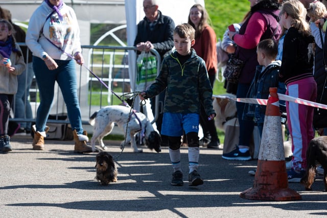 A boy walks his dog at the Pups in the Park event in Williamson Park, Lancaster.