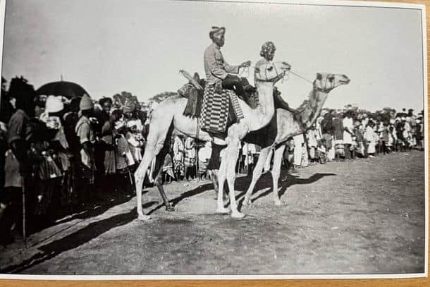 Camel racing at Aden. Picture courtesy of David Kenyon.