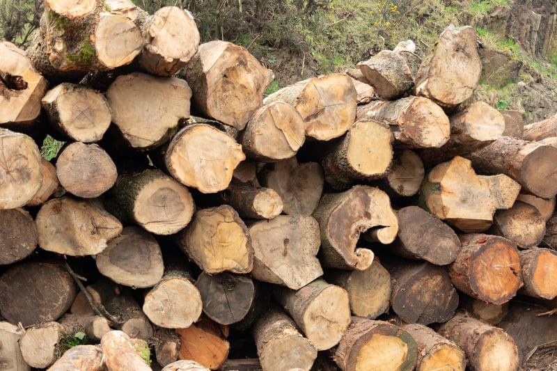Wood which has been dried at Logs Direct.