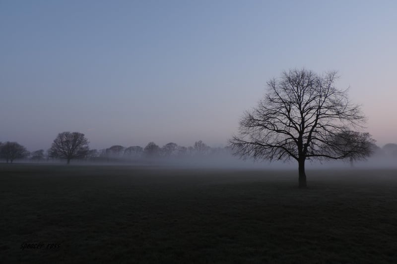 Early morning at Ryelands Park, Lancaster.