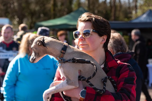 A dog being held by its owner at the Pups in the Park event in Williamson Park, Lancaster.
