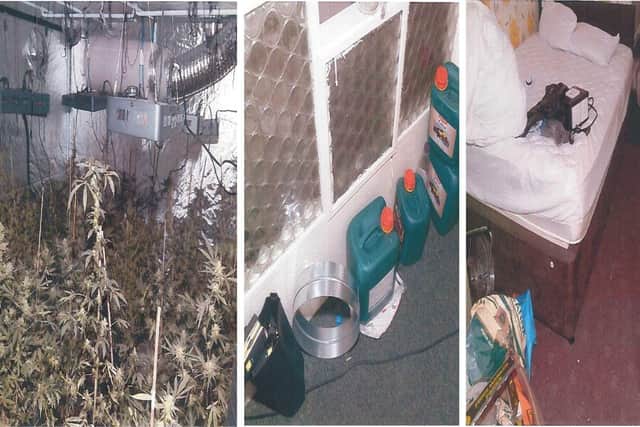 Scenes from within the Accringon home turned cannabis factory.