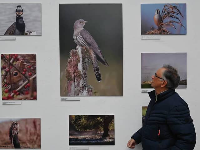 Keith Bannister surveying his prize-winning photograph of a cuckoo at The Sorey, which is hosting the Lancaster Litfest