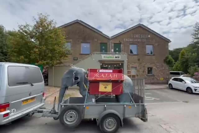 Rajah arrives at Halton Mill on the back of a trailer.