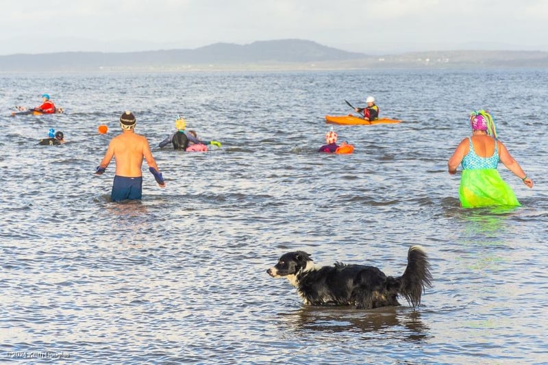 Even a dog got in on the action at the New Year's Day Dip in Morecambe Bay for the hospice.