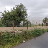 Police were called to Cove Road Beach, Silverdale to reports bones had been found in the water.