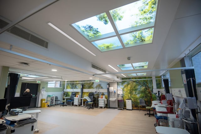 There are large pictures of trees and local areas on the walls at the new Oncology and Haematology Unit at Royal Lancaster Infirmary.