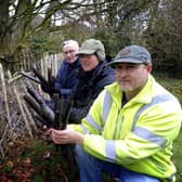 Happy Mount Park volunteers chairman Simon Lewis, chief designer Colin Hobbs and committee member Jonathan Lewis with some of the 120 plastic shields which have been pulled up that were protecting a newly planted Hawthorn hedges.