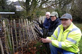 Happy Mount Park volunteers chairman Simon Lewis, chief designer Colin Hobbs and committee member Jonathan Lewis with some of the 120 plastic shields which have been pulled up that were protecting a newly planted Hawthorn hedges.