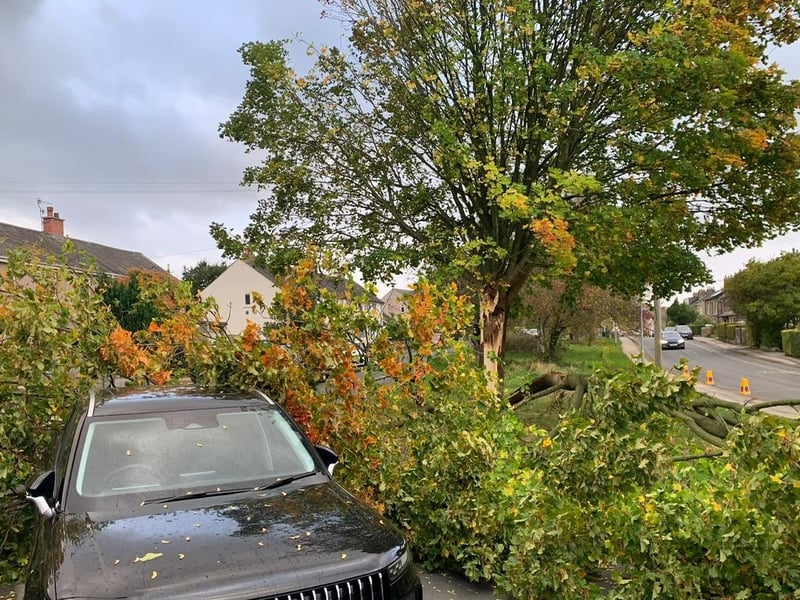Half of a tree on Beckside in Caton came down on a car. Photo: Mark Harrison