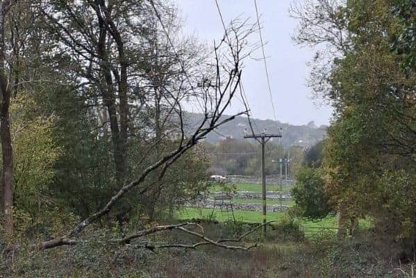 Arnside - damage to the power network caused by Storm Boelo.