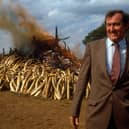 Richard Leakey was hailed as 'the saviour of the elephants' for his work tacking poaching gangs and the criminals behind them.