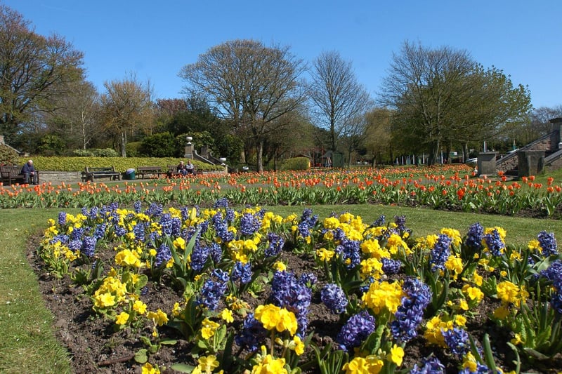Blue skies and beautiful flowers in Happy Mount Park, Morecambe.