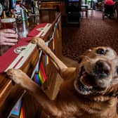 The Bellflower in Garstang has two dog bars.