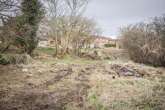 Lancaster city council are investigating after a hedgerow animal habitat was chopped down in Heysham possibly in breach of wildlife rules. Picture by Rob Underdown.