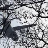 The RAF's huge Airbus A400M Atlas pictured flying low over Scorton picnic site yesterday (Tuesday, March 22)