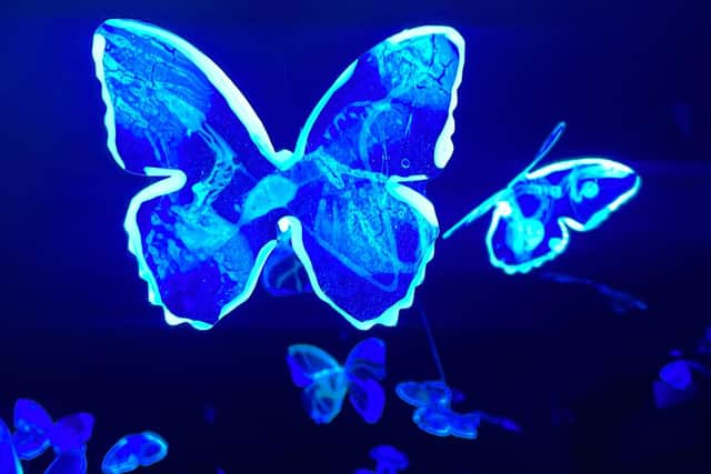 Butterflies will light up St John's Church during the festival.jpg