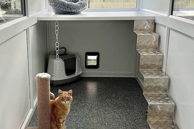 A new cat retreat and lodges have been built at Hest Bank Kennels.