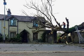 A tree came crashing down onto a house in Lancaster, damaging the property. Photo: Josh Brandwood.
