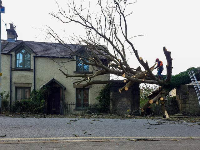 A tree came crashing down onto a house in Lancaster, damaging the property. Photo: Josh Brandwood.