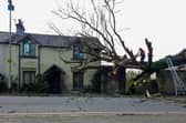 A tree came crashing down onto a house in Lancaster, damaging the property. Photo: Josh Brandwood.
