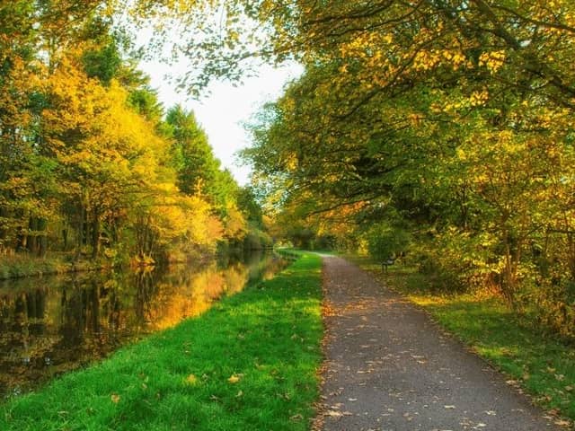 Canal and River Trust rate this scene - No3 Autumn on the Lancaster Canal.