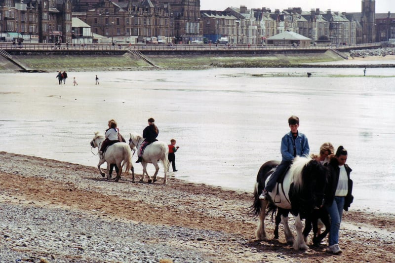 Donkeys trot slowly up and down Morecambe's West End beach in May 1995.