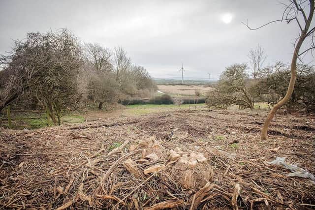 Lancaster city council are investigating after a hedgerow animal habitat was chopped down in Heysham possibly in breach of wildlife rules. Picture by Rob Underdown.