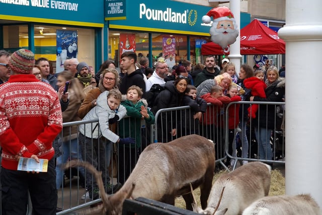 The reindeer on show in St Nicholas Arcades.