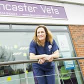 Helen Griffin, clinical director at Lancaster Vets, is warning pet owners to be extra vigilant in the hot weather. Photo: Jenny Woolgar Photography