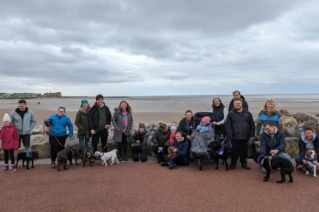 Some of the Wagz & Walkz Pack posing at the end of their walk to the Stone Jetty